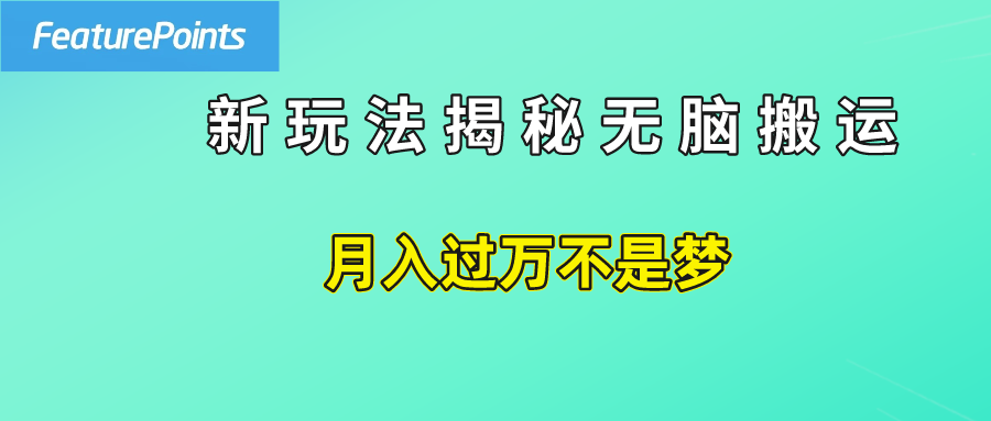 简单操作，每天50美元收入，搬运就是赚钱的秘诀！-千图副业网