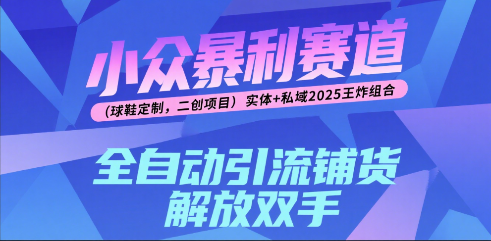 楠—小众暴利赛道（球鞋定制，二创项目）实体+私域2025王炸组合-千图副业网