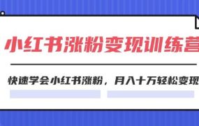 2024小红书涨粉变现训练营,快速学会小红书涨粉,月入十万轻松变现(40节)-千图副业网
