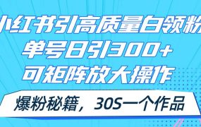 小红书引高质量白领粉,单号日引300+,可放大操作,爆粉秘籍!30s一个作品-千图副业网