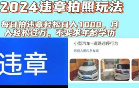 2024违章拍照新玩法,推广躺赚+拍照赚钱双模式,日入1000+-千图副业网