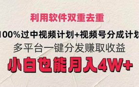 利用软件双重去重,100%过中视频+视频号分成计划小白也可以月入4W+-千图副业网