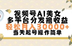 视频号AI美女,轻松月入30000+,操作简单轻松上手-千图副业网