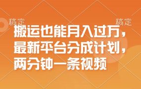 搬运也能月入过万，最新平台分成计划，一万播放一百米，一分钟一个作品-千图副业网