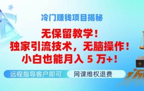 冷门赚钱项目无保留教学!独家引流技术,无脑操作!小白也能月入5万+!-千图副业网