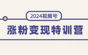 2024视频号-涨粉变现特训营:一站式打造稳定视频号涨粉变现模式(10节)-千图副业网