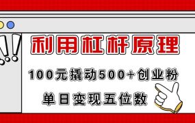 利用杠杆100元撬动500+创业粉,单日变现5位数-千图副业网