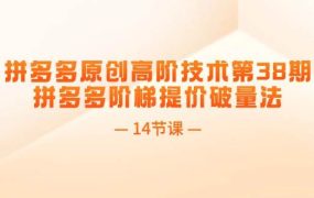 拼多多原创高阶技术第38期,拼多多阶梯提价破量法(14节课)-千图副业网