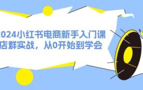 2024小红书电商新手入门课,店群实战,从0开始到学会(31节)-千图副业网