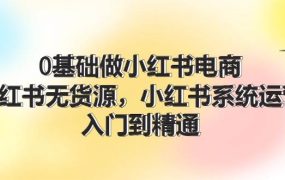 0基础做小红书电商,小红书无货源,小红书系统运营,入门到精通 (70节)-千图副业网