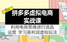 拼多多虚拟电商实战课:利用电商思维进行选品+运营,学习高利润虚拟玩法-千图副业网
