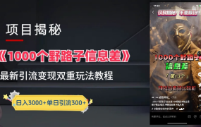 抖音一千个野路子信息差最新玩法教程-变现+引流的玩法具体拆解-千图副业网