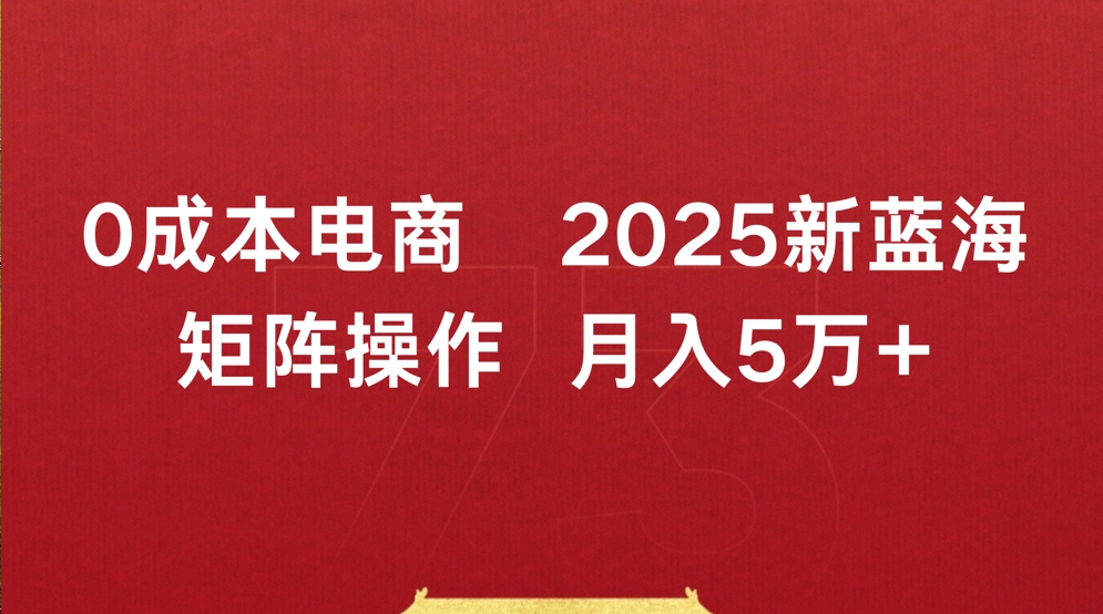 0成本电商2025新蓝海矩阵操作 月入5万+-千图副业网