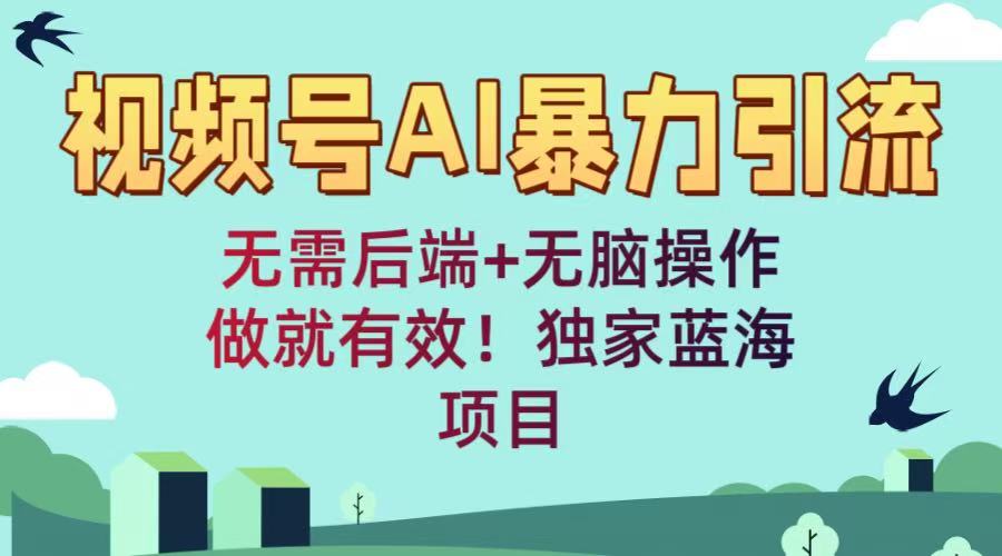 视频号AI暴力引流：无需后端+无脑操作，做就有效！独家蓝海项目-千图副业网