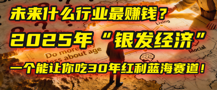 未来什么行业最赚钱？马哥揭秘2025年“银发经济”：一个能让你吃30年红利的蓝海赛道！-千图副业网